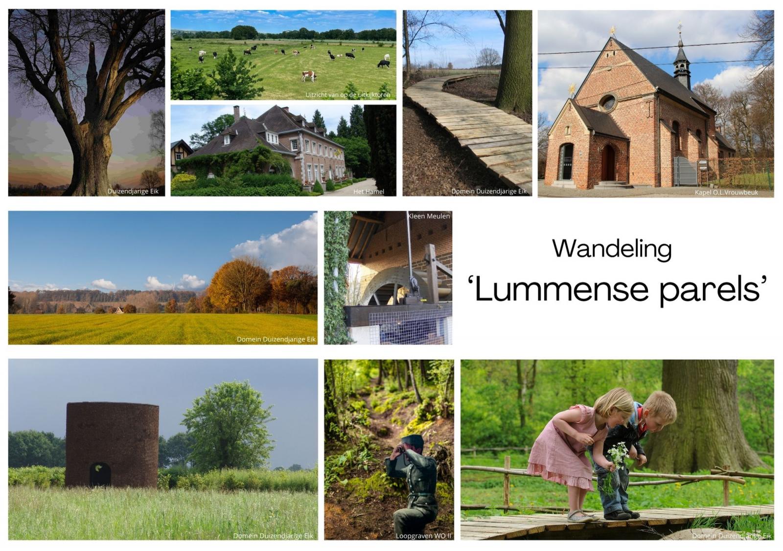 FINESSE - Limburgs Vastgoed