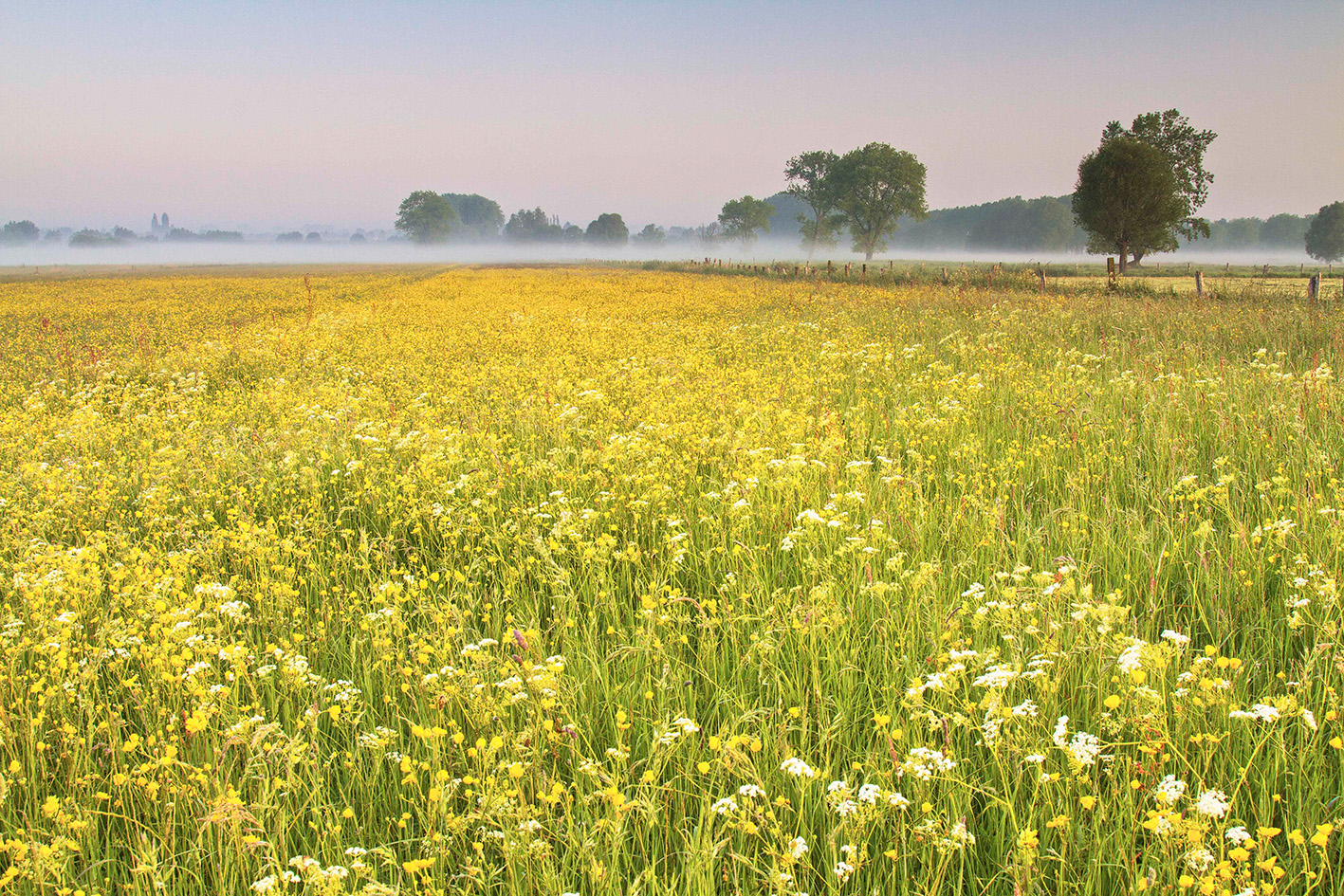 Verkaveling Lindestraat - Vastgoed Coorevits